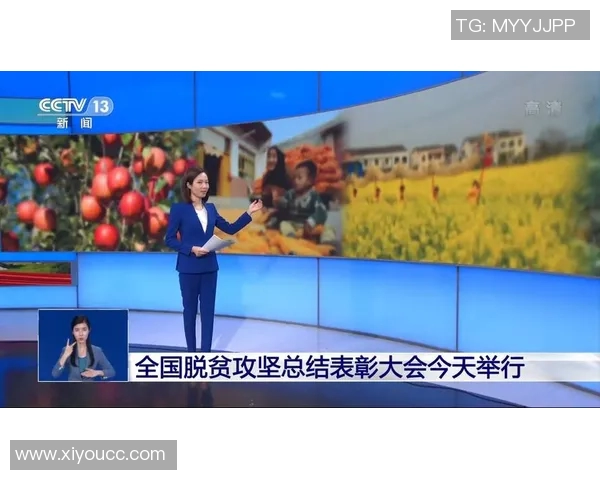 实时新闻南京乒乓球队灵活性创新高引发全国关注与热议